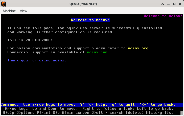 Viewing the IPv4 Webpage of *external1* VM from IPv6 *v6only* VM. Refer to paragraphs below.