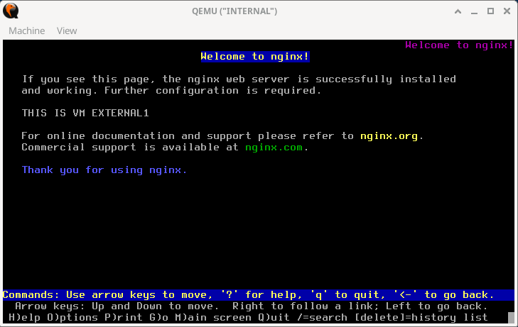 Accessing Nginx on 10.10.10.10 With LSNAT via 3.3.3.3. Refer to paragraphs below.