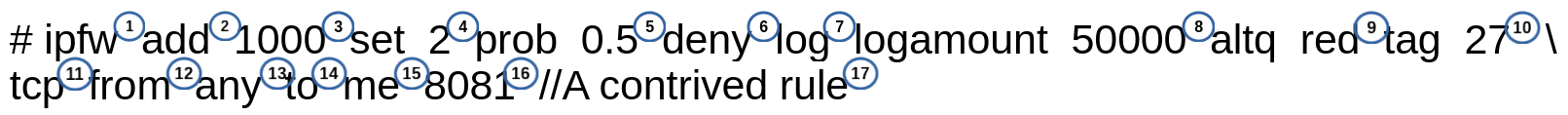 Description of *ipfw* Rule Syntax. Refer to paragraphs below.