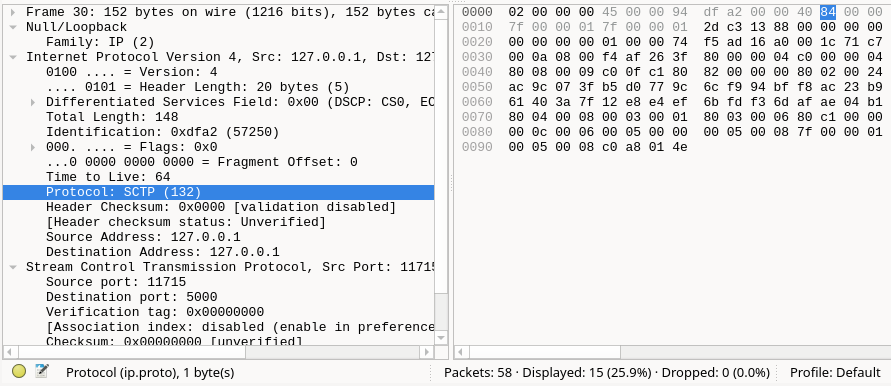 Internal View of the SCTP INIT Data Packet. Refer to paragraphs below.