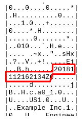 Figure 1: Partial hex dump of response showing simple timestamp.