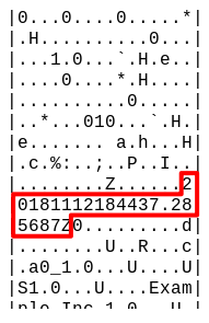 Figure 2: Partial hex dump showing timestamp with 6 digits precision.